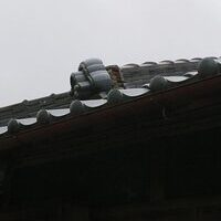 和歌山市Ｙ様　屋根塗装の事例紹介のサムネイル