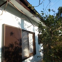茅ヶ崎市Ｓ様　外壁塗装、屋根塗装のサムネイル