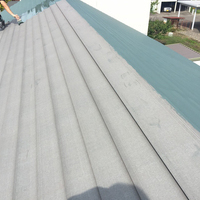 河東郡音更町Ｏ様　屋根塗装のサムネイル